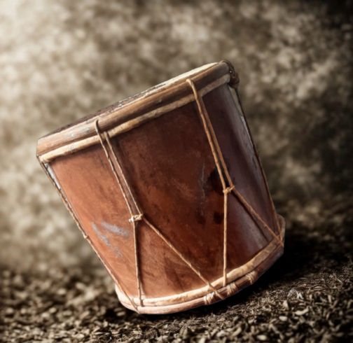 portada tambora